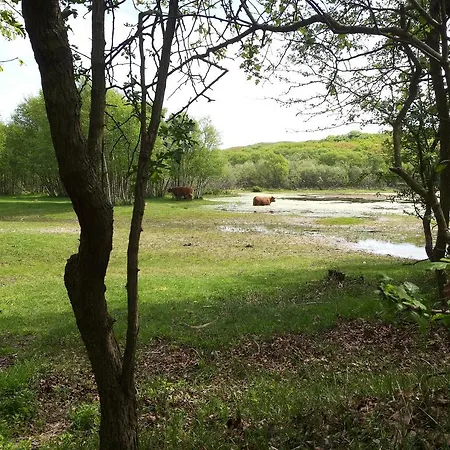 Hébergement de vacances Zomerhuis De Zeedistel *