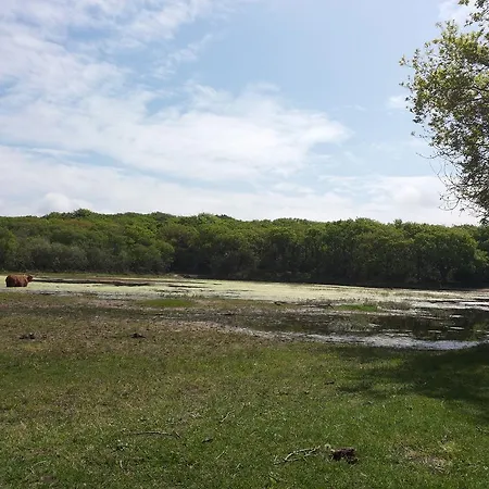 Zomerhuis De Zeedistel Hébergement de vacances Egmond aan den Hoef