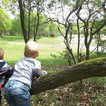 Zomerhuis De Zeedistel Hébergement de vacances