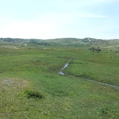 Zomerhuis De Zeedistel Egmond aan den Hoef