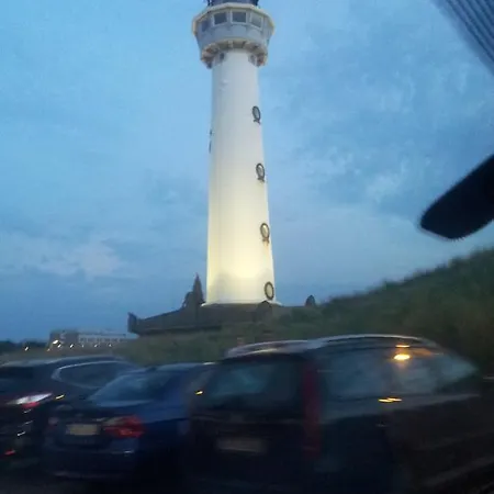 Hébergement de vacances Zomerhuis De Zeedistel