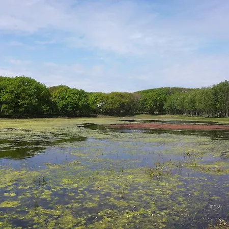 Tatil Evi Zomerhuis De Zeedistel Egmond aan den Hoef