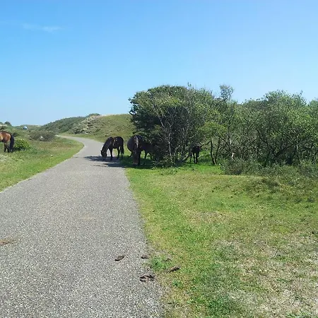 Zomerhuis De Zeedistel Tatil Evi *