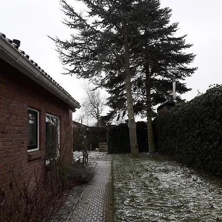 Zomerhuis De Zeedistel