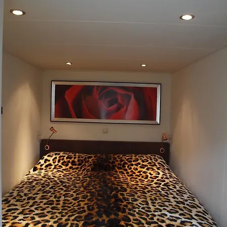 Zomerhuis De Zeedistel * Egmond aan den Hoef