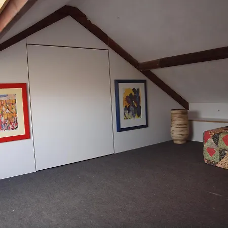 Zomerhuis De Zeedistel Tatil Evi *