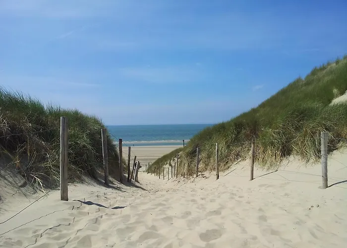 펜션 Zomerhuis De Zeedistel 에그몬단덴 후에프