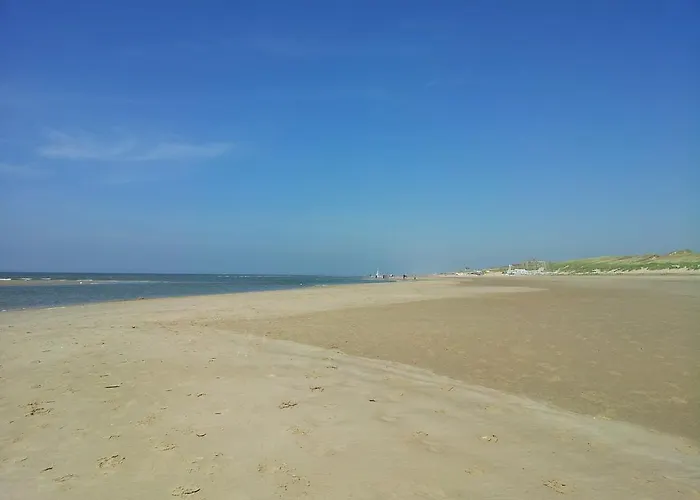 Zomerhuis De Zeedistel * 에그몬단덴 후에프