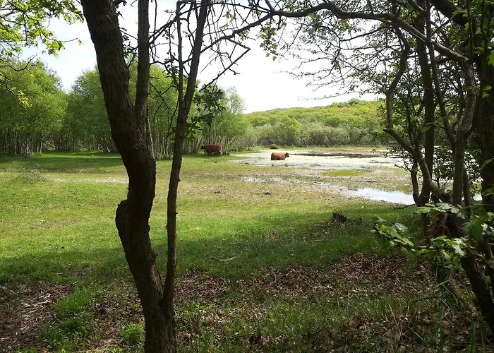 펜션 Zomerhuis De Zeedistel *