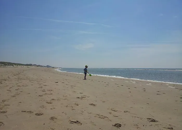 Zomerhuis De Zeedistel * 에그몬단덴 후에프