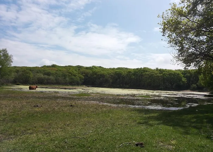 Zomerhuis De Zeedistel 펜션 에그몬단덴 후에프