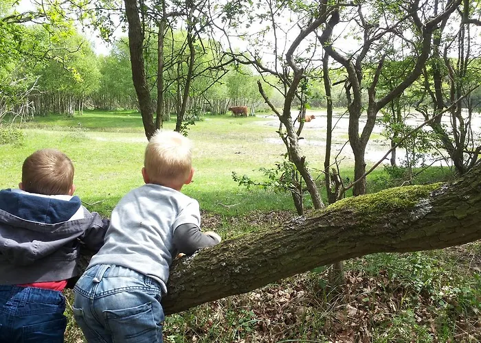 Zomerhuis De Zeedistel 펜션