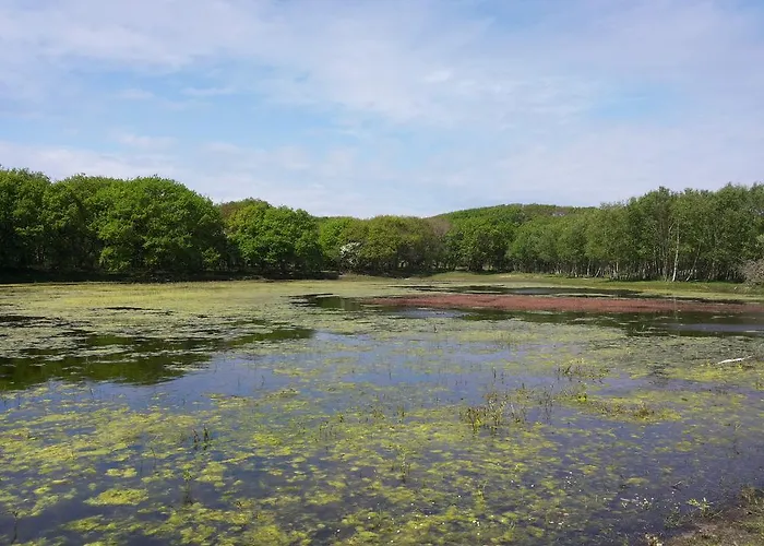 펜션 Zomerhuis De Zeedistel 에그몬단덴 후에프