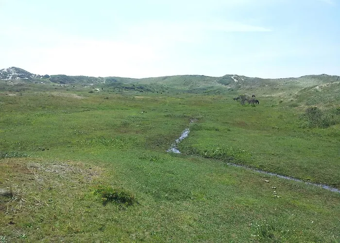 Zomerhuis De Zeedistel 에그몬단덴 후에프