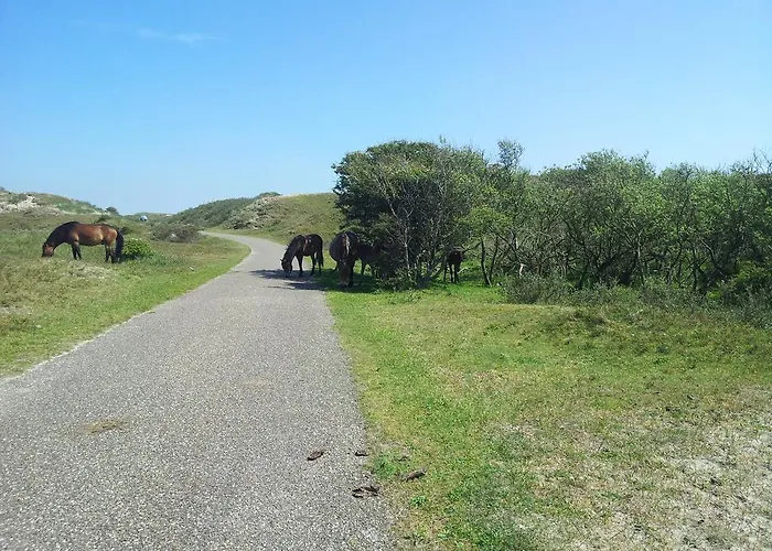 Zomerhuis De Zeedistel 펜션 *