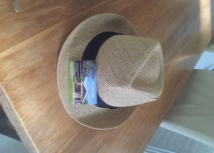 Zomerhuis De Zeedistel 에그몬단덴 후에프