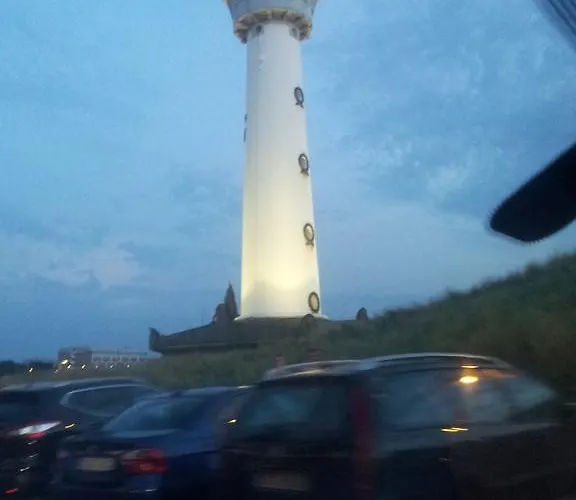 펜션 Zomerhuis De Zeedistel