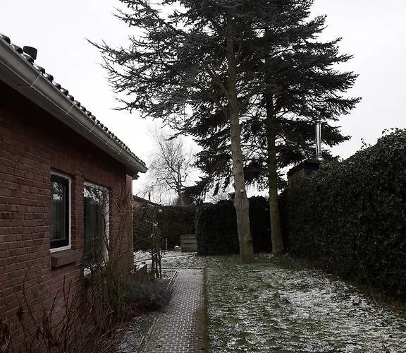 Zomerhuis De Zeedistel