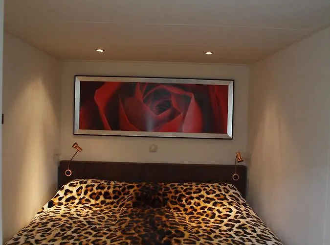 Zomerhuis De Zeedistel * 에그몬단덴 후에프